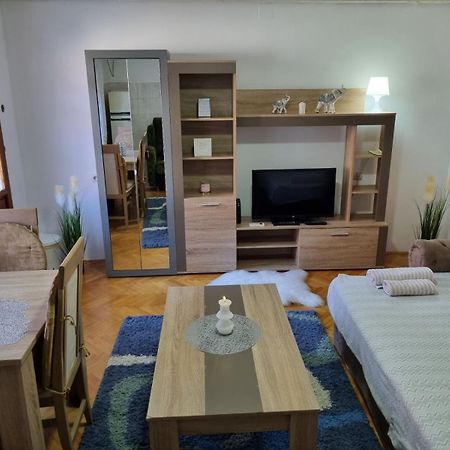 Family Apartmani Le Leskovac  Kamer foto