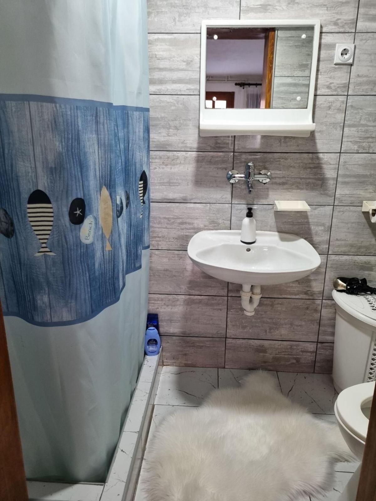 Family Apartmani Le Leskovac  Kamer foto